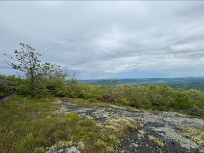 Buffalo Mountain