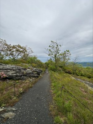trail