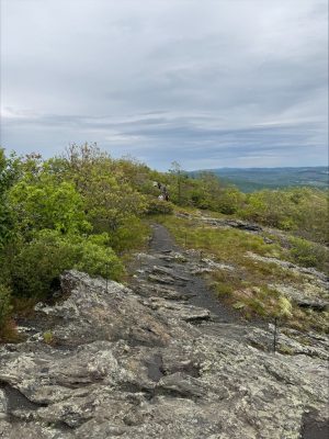 top of Buffalo Mountain