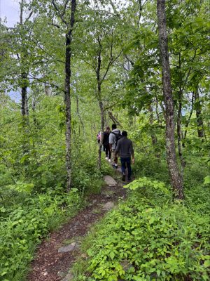 trail