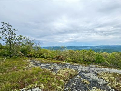 Buffalo Mountain