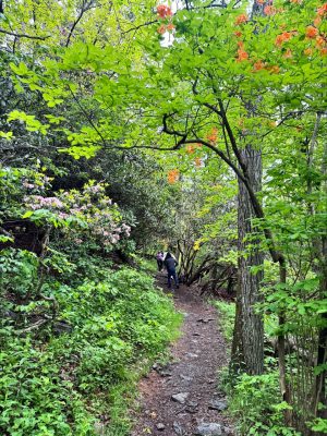 trail