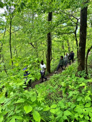 trail