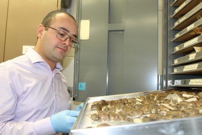 A person with glasses looks down at a tray that has a collection of dead mice on it.
