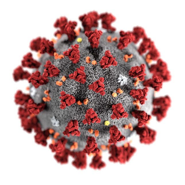 Image of the Covid-19 virus