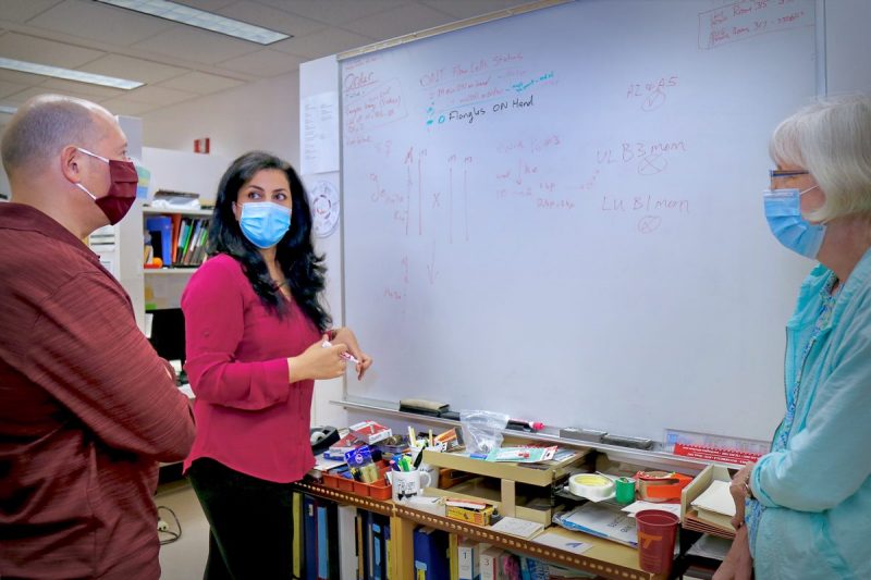 James Biedler (left), a research scientist in Zhijian Tu’s lab; Azadeh Aryan (middle), the first author on the paper and a research scientist in Zhijian Tu’s lab; and Maria Sharakhova (right), an assistant professor of entomology, discuss genetics in front of a dry erase board. Photo courtesy of Alex Crookshanks for Virginia Tech.