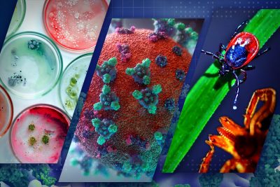 Interdisciplinary Team-Building Pilot Grants