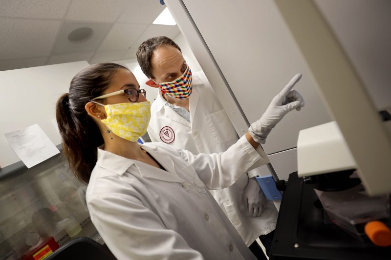 Assistant professors associated with the new Interdisciplinary Graduate Education Program in Infectious Disease, Nisha Duggal and James Weger-Lucarelli, are developing a SARS-COV-2 reverse genetics system to tackle the COVID-19 pandemic. Photo: Ray Meese for Virginia Tech.