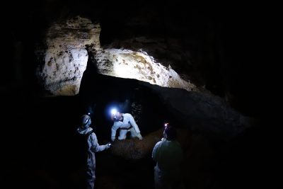 Researchers in a cave studying bats